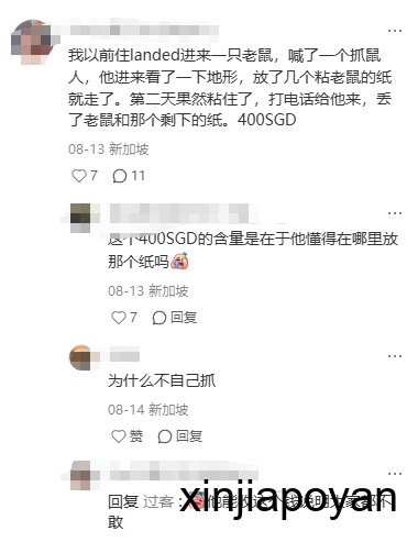 又一次被新加坡的物价惊呆了