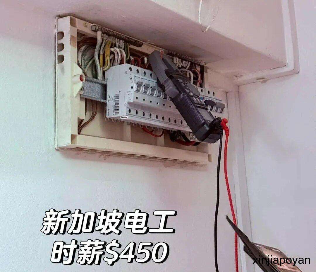 又一次被新加坡的物价惊呆了