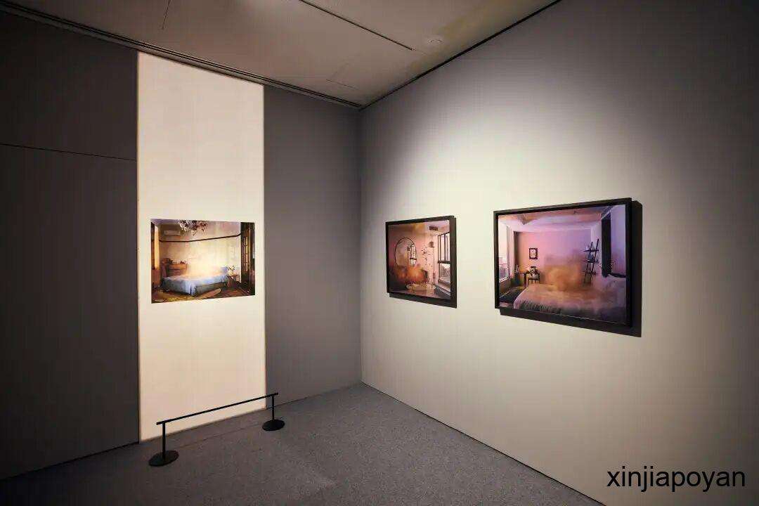 新加坡“18禁”展!身体、欲望、火山,这可能是今年最“敢”的一场艺术展