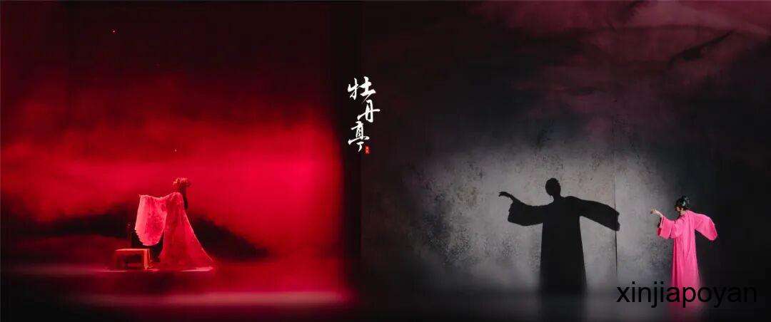 香港售罄，狮城接棒！超人气导演作品舞剧《牡丹亭》即将登陆新加坡！实力演员共绘东方绮梦！