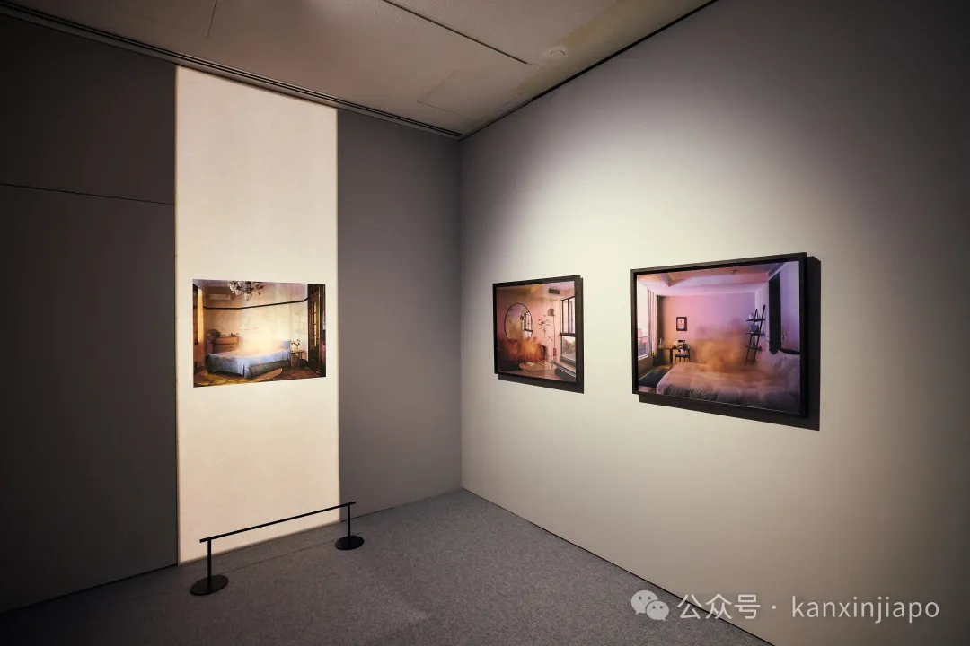 【下周活动】冰淇淋免费领、文化节、“18禁”展览、海军开放日……承包你的假期快乐