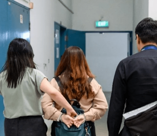 公司造假骗工作准证,新加坡人力部出手了:10人被捕、41人助查、准证全停