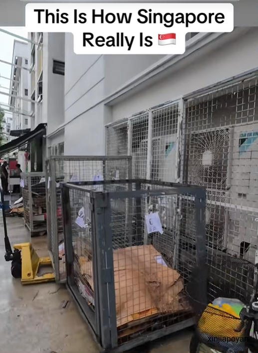 澳洲网红吐槽义顺组屋“脏乱差”,一句“这才是真实的新加坡”引爆全网