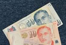 5月新加坡政府一大波补贴正在派送,购物劵、现金都有!