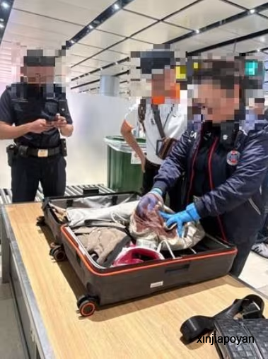 新加坡海陆空全关卡严查，连学生准证也不放过