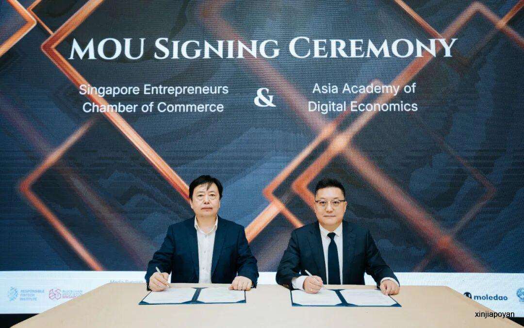 当 AI 开始参与财富、治理与决策,人类该如何重新定义“安全”与“价值”?