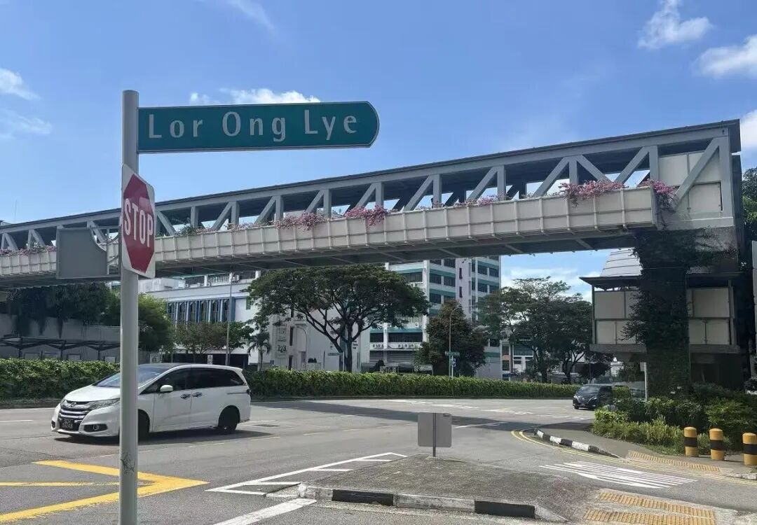新加坡古迹特种兵一日游:从巴刹到彩虹组屋,张张都是大片