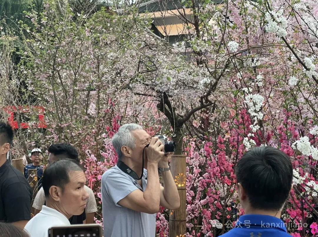 滨海湾花园当选全球景点第三名!新加坡人嗨翻了,却被人泼了一盆冷水……