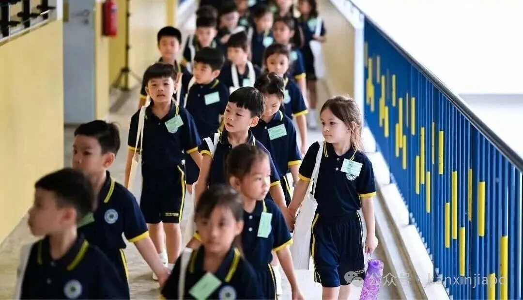 国际学生报读新加坡小一所需资料