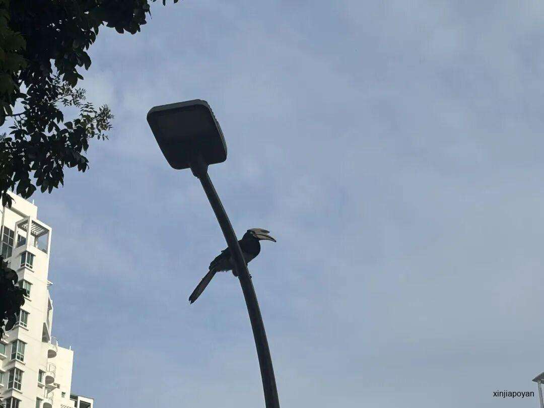 实测马里士他徒步路线，这些老建筑太好拍了