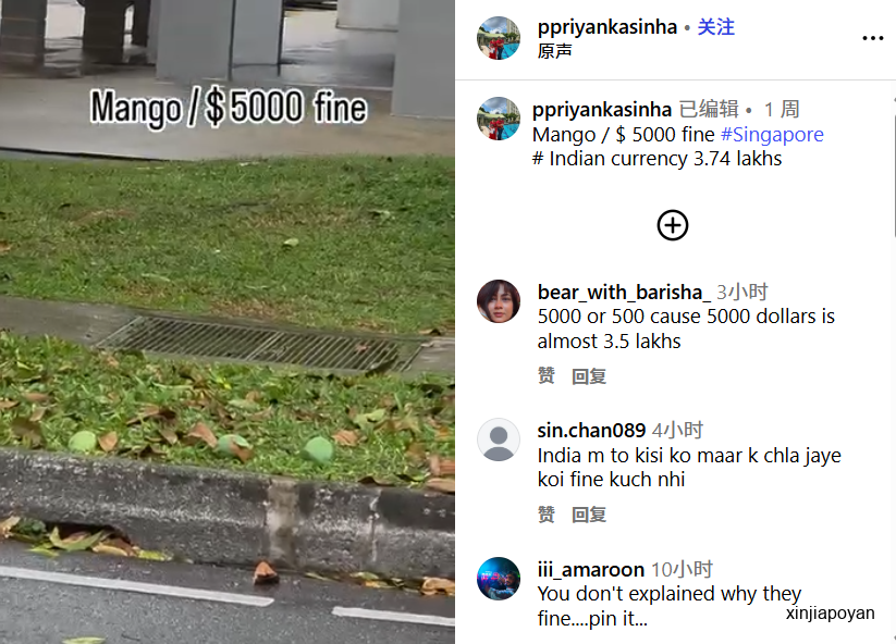 乱摘路边芒果罚5000新元!外国网红吐槽新加坡奇葩法律,网友吵翻!