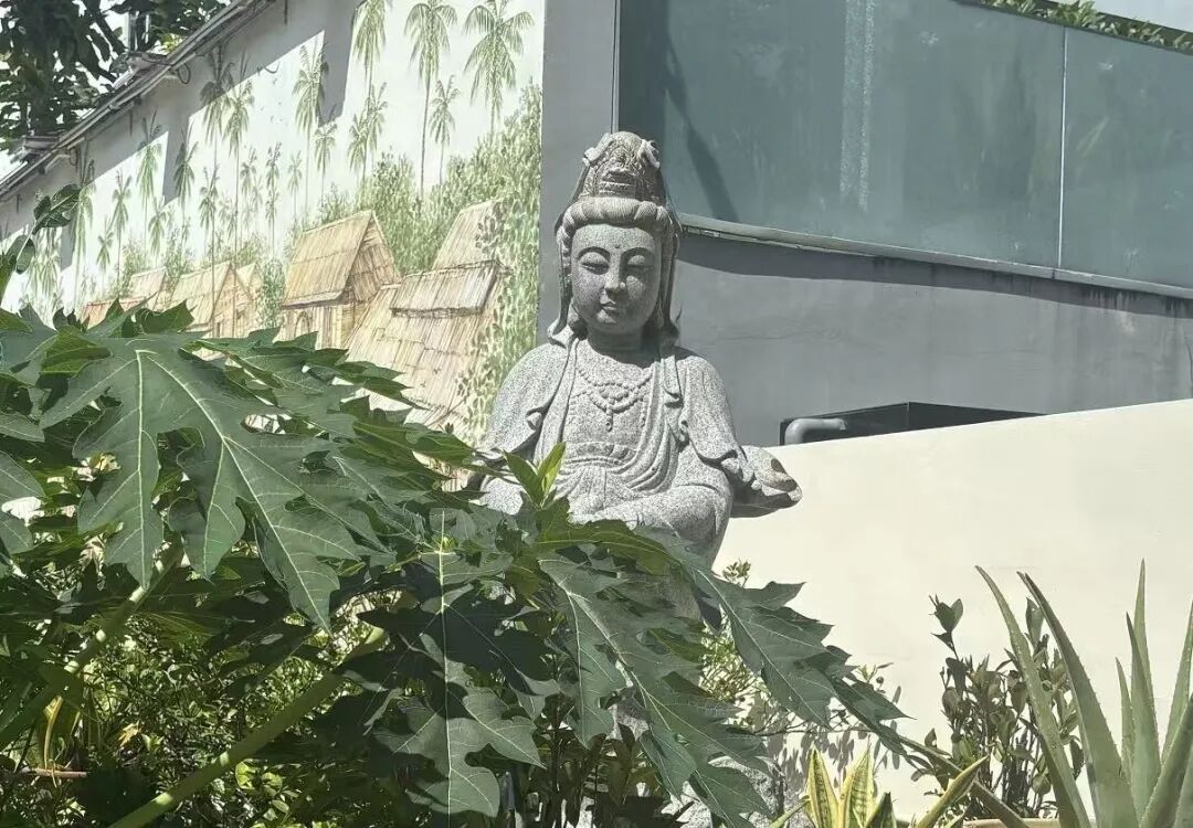 新加坡古迹特种兵一日游:从巴刹到彩虹组屋,张张都是大片