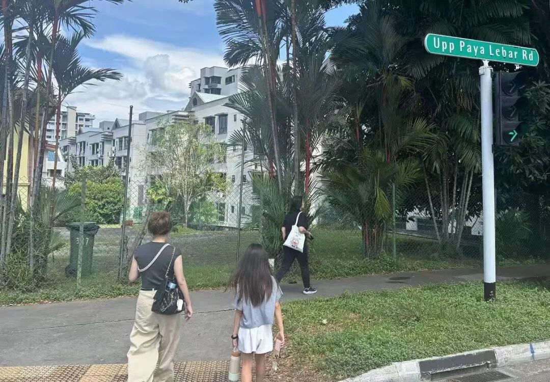 新加坡古迹特种兵一日游:从巴刹到彩虹组屋,张张都是大片