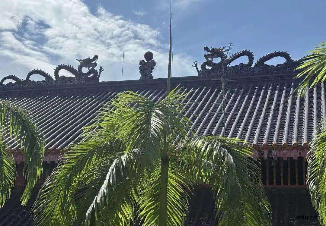 新加坡古迹特种兵一日游:从巴刹到彩虹组屋,张张都是大片