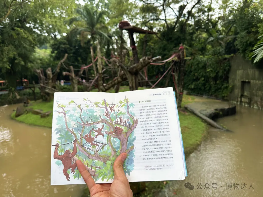 解锁新加坡隐藏玩法！跟着北大教授和生态学博士，在红树林里找鳄鱼，去世界遗产看猴子