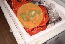新加坡餐厅冰箱竟藏740包走私烟,4名中国员工被抓,后果太严重了……