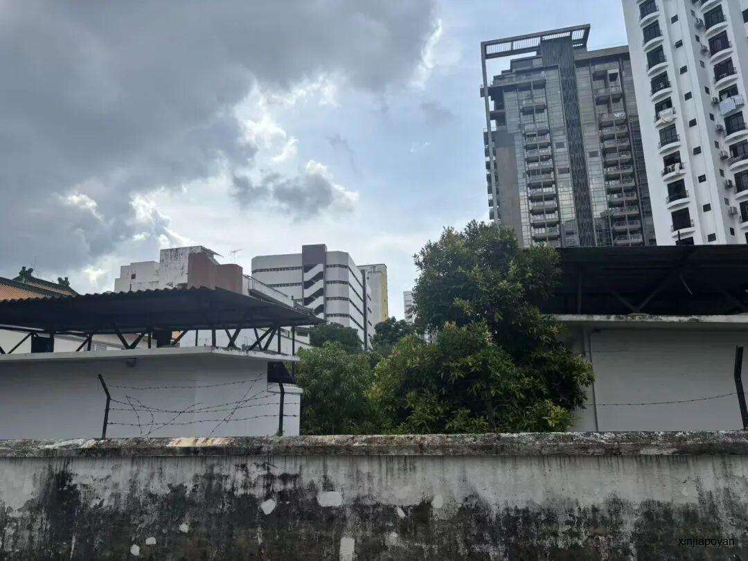 马里士他Citywalk指南：寺庙、店屋、熟食中心，一次看完三种老新加坡