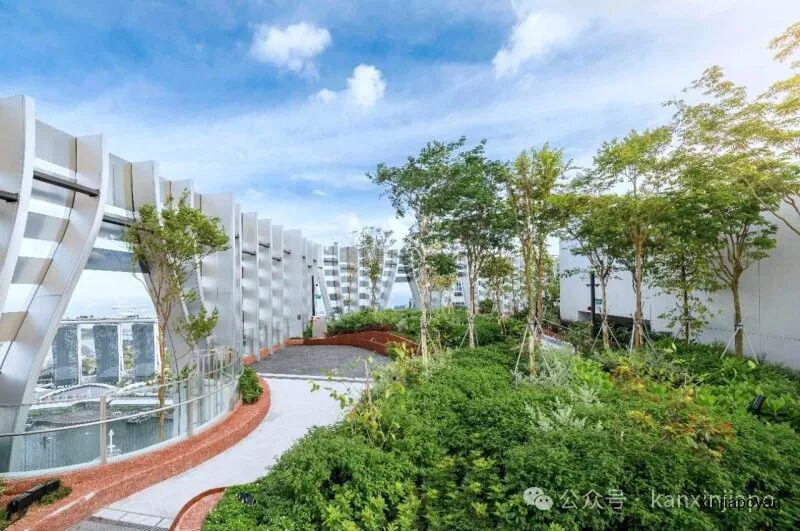 新加坡这几个免费观景台,会过日子的你一定要收藏