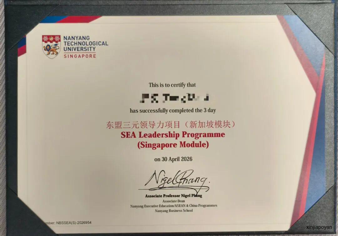 从新加坡的顶层设计,到马来西亚的产业落地,这才是完整的东盟棋局