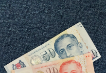 一个月连偷六次!新加坡女佣盗走雇主孩子$17000压岁钱,全充进网赌平台