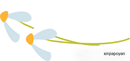 新加坡雅思机考时代来了！新加坡学姐吐血整理：机考入场、操作、各科攻略一篇讲透