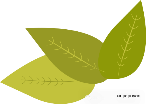 新加坡雅思机考时代来了！新加坡学姐吐血整理：机考入场、操作、各科攻略一篇讲透