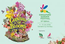 神仙打架、花海暴走!新加坡花园节十周年,连空气都是甜的