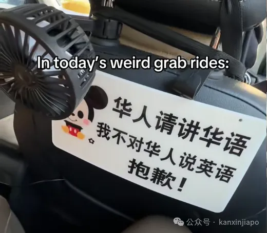 在新加坡收到全中文菜单是什么体验?这名食客的反应笑翻了