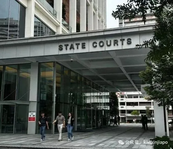 香港母子大闹樟宜机场细节曝光！儿子踹亲妈、妈咬警察，双双被判刑