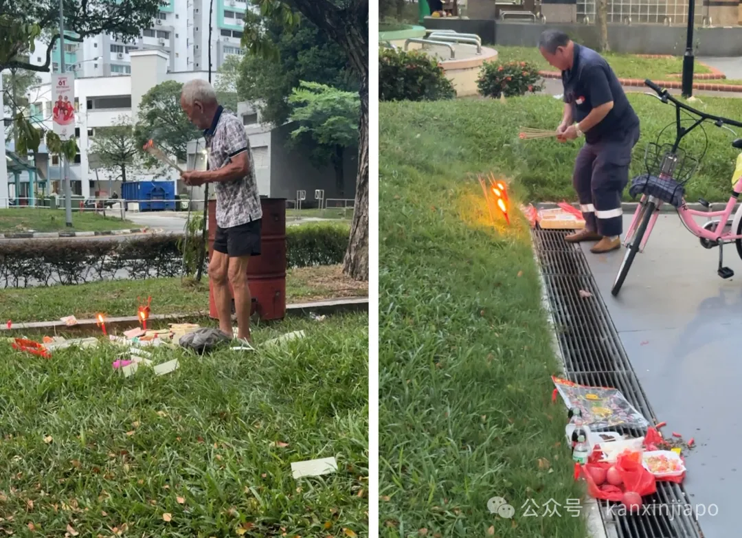 “新加坡水果太贵了!”中国女司机顺手捡了路边的供果,结果闯大祸了……