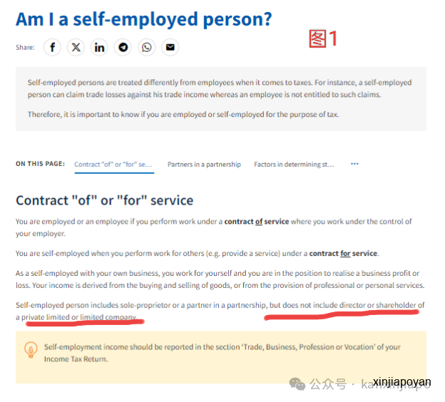 别被“自雇EP”忽悠了!在新加坡自己开公司不算自雇人士