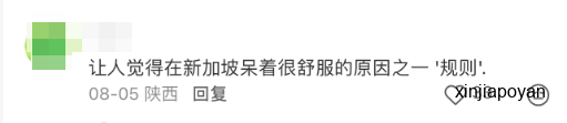 在新加坡地铁,亲眼目睹了一场无声的内卷
