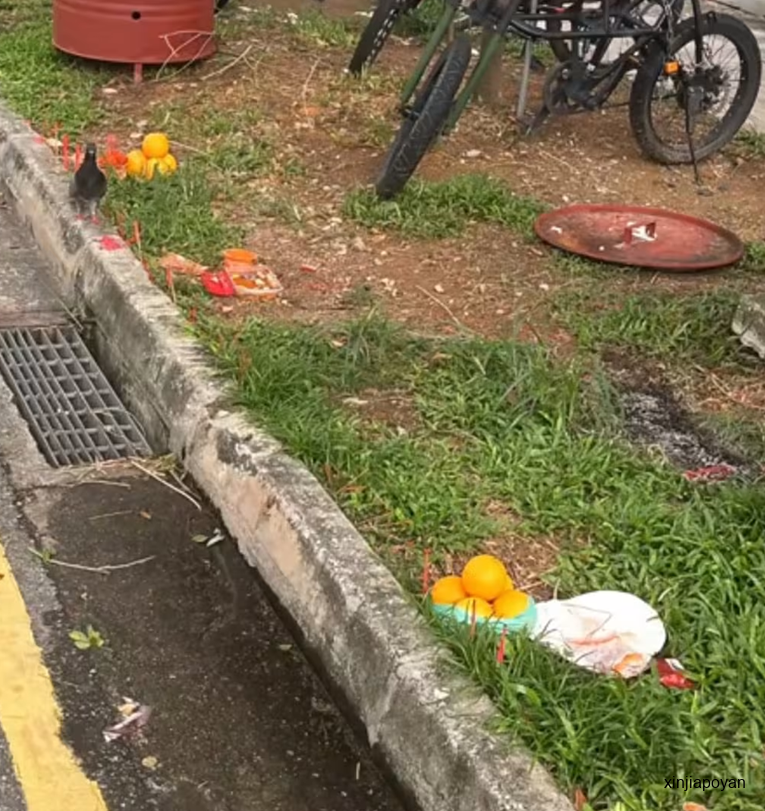 “新加坡水果太贵了!”中国女司机顺手捡了路边的供果,结果闯大祸了……