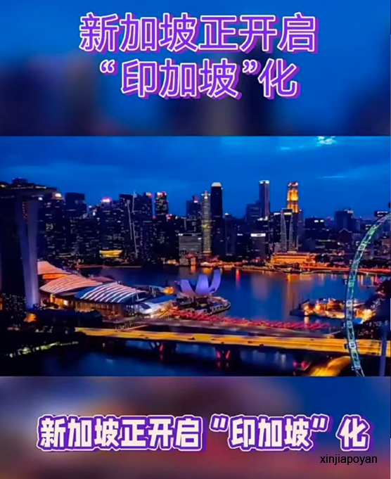 疯传:新加坡仇印爆发,7%印度人占31%高管职位,局面彻底失控!