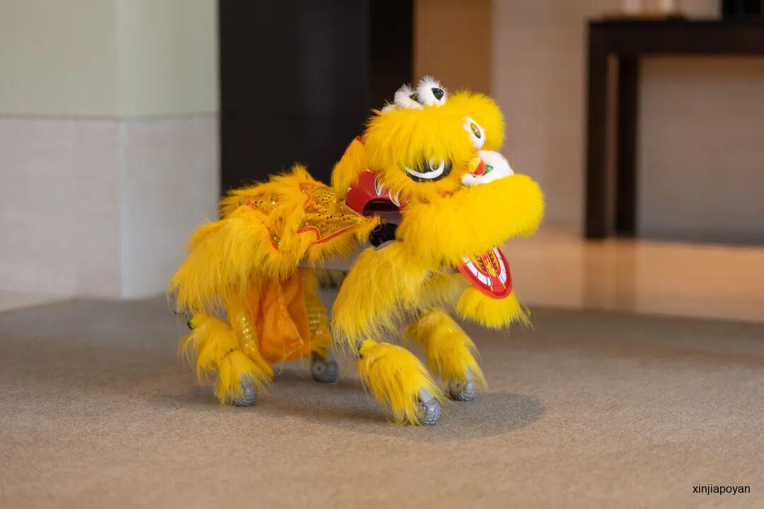 在新加坡租机器人,机器狗要多少钱?