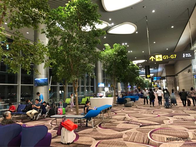 游客吐槽樟宜机场地毯:拖行李太费劲!新加坡网民反驳