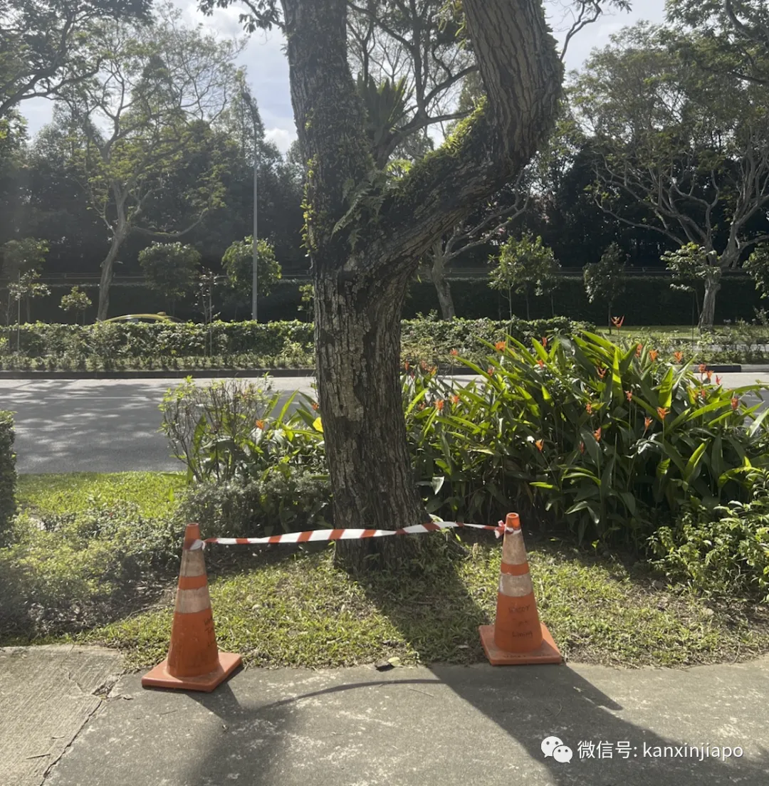 枪声响起、尸体遍地!新加坡地铁站外射杀“城市黑帮”
